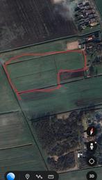 Gras op stam, Dieren en Toebehoren, Stalling en Weidegang