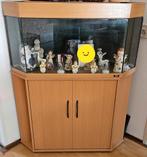 Te koop hoek aquarium., Dieren en Toebehoren, Vissen | Aquaria en Toebehoren, Ophalen, Zo goed als nieuw, Leeg aquarium