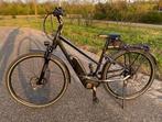 Elektrische fiets Pegasus Solero E8 Bosch Performance, Zo goed als nieuw, 47 tot 51 cm, 50 km per accu of meer, Ophalen