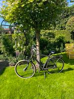 Mooie Sparta Sense lage herenfiets.57 nexus 7, Ophalen, Sparta, Versnellingen, Zo goed als nieuw