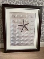 Schilderij, Ophalen, Zo goed als nieuw, Hout, 50 tot 75 cm