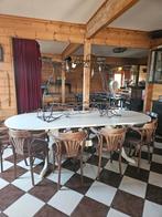 Grote Stamtafel - 10 Personen - 250cm, Huis en Inrichting, Tafels | Eettafels, Ophalen