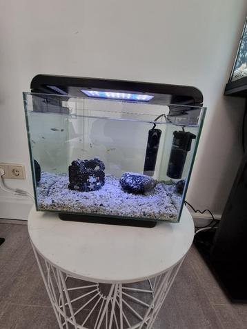 Superfish home 15 zwart incl. toebehoren en visjes beschikbaar voor biedingen