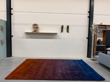 Nieuw CSrugs Cameleon Vloerkleed Wol Carpet Sign 210x320 beschikbaar voor biedingen