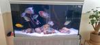 Aquarium aquatlantis 120x50x70 compleet, Dieren en Toebehoren, Vissen | Aquaria en Toebehoren, Ophalen, Zo goed als nieuw, Gevuld zoetwateraquarium