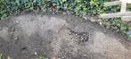 Zwarte aarde grond schoon 7 kuub, Tuin en Terras, Aarde en Mest, Ophalen, Tuinaarde