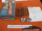 Hulpveren set Nissan Cherry F10 N10 Carsupport 29C06, -, Nieuw, Ophalen of Verzenden, -