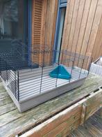 Konijnenkooi binnen, Dieren en Toebehoren, Knaagdieren en Konijnen | Hokken en Kooien, Kooi, Cavia, Zo goed als nieuw, 75 tot 110 cm