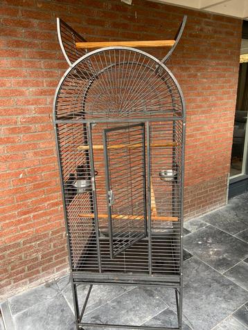 Grote Papagaaien, agapornus, parkieten  kooi beschikbaar voor biedingen
