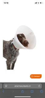 Honden/katten kraag, Dieren en Toebehoren, Ophalen of Verzenden, Nieuw