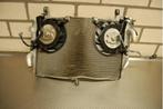 Radiateur koeler R1 2009 tot 2014 rn22, Ophalen of Verzenden, Gebruikt