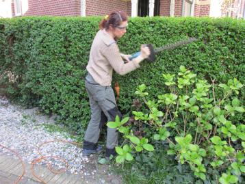 Ervaren tuinvrouw - onkruid verwijderen, tuinonderhoud beschikbaar voor biedingen