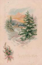Ansichtkaart van Kerk tussen dennenbomen in de winter, Verzamelen, Ophalen of Verzenden, Ongelopen, Seizoenen
