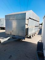Gesloten aanhanger veetrailer tridem, Ophalen, Nieuw