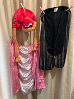Carnavals rokje , gilet en hoedje, Ophalen of Verzenden, Zo goed als nieuw, Carnaval