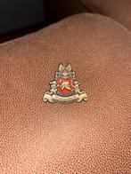 Efteling bedrijfs Brandweer Pin, Ophalen of Verzenden, Gebruikt