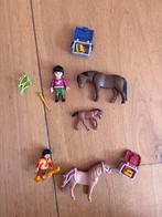Playmobil paarden / pony’s veulen en poppetjes, Ophalen of Verzenden, Gebruikt, Los playmobil