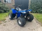 Leuke 250cc quad, Suzuki 4takt - 5 versnellingen, 1 cilinder, 250 cc