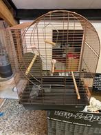 Vogelkooi koperkleurig, Dieren en Toebehoren, Vogels | Hokken en Kooien, Ophalen, Zo goed als nieuw, Metaal, Vogelkooi