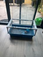 Grote hamsterkooi, Dieren en Toebehoren, Ophalen, Minder dan 75 cm, Kooi, Minder dan 60 cm