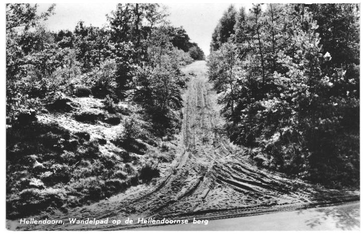 965349 Hellendoorn 1963 Ov Wandelpad Hellendoornse Berg, Verzamelen, Ansichtkaarten | Nederland, Gelopen, Overijssel, 1960 tot 1980