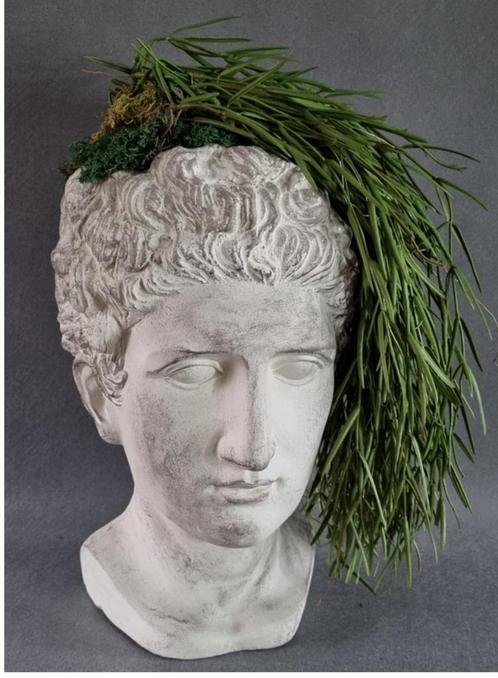 Nieuw, MICHEL ANGELO gevuld met mos en kunststof hangplant, Huis en Inrichting, Woonaccessoires | Kunstplanten en Kunstbloemen