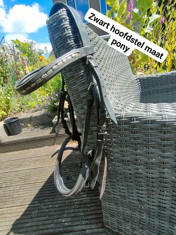 Zwart pony hoofdstel, Dieren en Toebehoren, Paarden en Pony's | Hoofdstellen en Tuigage, Gebruikt, Dressuur, Ophalen of Verzenden
