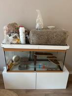 Terrarium voor gerbil of hamster, Dieren en Toebehoren, Knaagdieren en Konijnen | Hokken en Kooien, Kooi, Minder dan 75 cm, Zo goed als nieuw