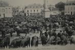 frankrijk 1904 vee koeien runderen  markt veemarkt Arras, Ophalen, Voor 1920, Gelopen, Overige thema's
