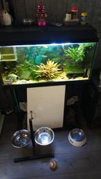 Aquarium, Ophalen of Verzenden, Zo goed als nieuw, Leeg aquarium