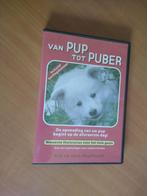 DVD Van pup tot puber, Alle leeftijden, Ophalen of Verzenden, Zo goed als nieuw, Oorlog of Misdaad