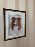 Kunstwerk sheltie gemaakt van echt sheltie haar, Schilderij, Ophalen of Verzenden, Zo goed als nieuw