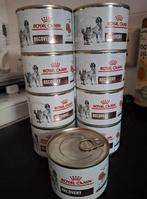 Royal canin recovery kat 9x, Dieren en Toebehoren, Ophalen of Verzenden, Kat