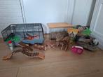 Knaagdierkooi beeztees, Dieren en Toebehoren, Knaagdieren en Konijnen | Toebehoren, Ophalen, Gebruikt, Loopwiel of Rad