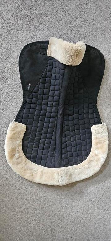 Te koop dressuur bontje  beschikbaar voor biedingen
