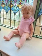 Lieve Wildebras pop, Ophalen of Verzenden