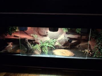 Groot betonplex terrarium  beschikbaar voor biedingen