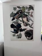 IXXI Schilderij Teylers Museum, Ophalen, Gebruikt, Oorspronkelijke maker, Schilderij