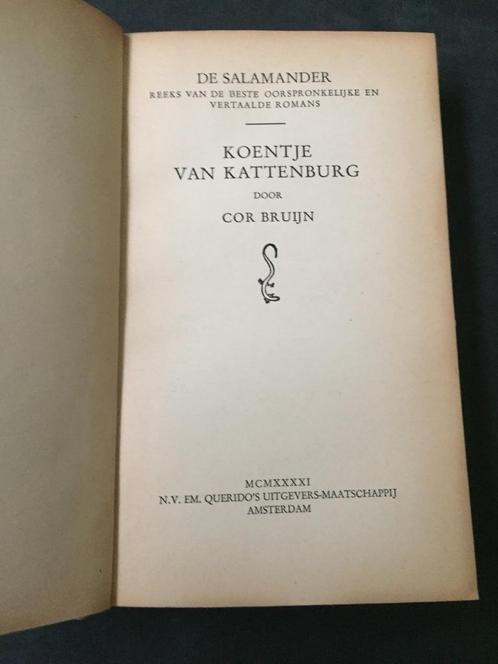 Koentje van Kattenburg door Cor Bruijn, Boeken, Romans, Gelezen, Nederland, Ophalen of Verzenden