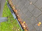 gratis ophalen, betonnen paal en opsluitband schutting, Tuin en Terras, Planten | Tuinplanten, Ophalen, Overige soorten, Volle zon