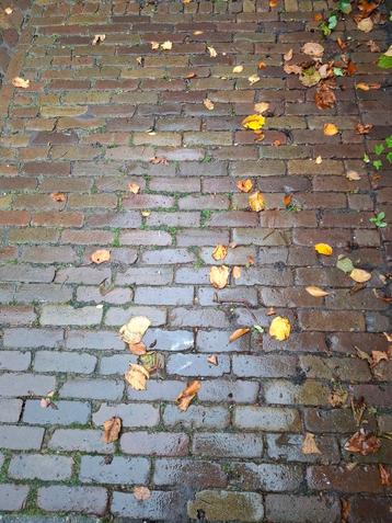 Oude gebakken dikformaat /7duimers  beschikbaar voor biedingen