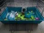 Kooi knaagdieren, Kooi, Zo goed als nieuw, Hamster, 75 tot 110 cm