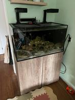 Compleet Zeeaquarium TMC RH90 te koop, Dieren en Toebehoren, Vissen | Aquaria en Toebehoren, Ophalen, Zo goed als nieuw, Leeg aquarium