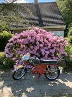 Kreidler oldtimer brommer, Fietsen en Brommers, Brommers | Kreidler, Ophalen, Gebruikt, 49 cc, Overige modellen