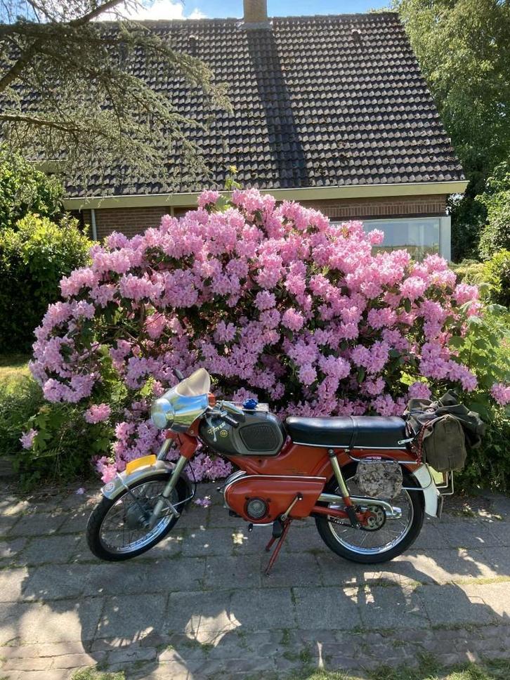 Kreidler oldtimer brommer, Fietsen en Brommers, Brommers | Kreidler, Gebruikt, Overige modellen, Ophalen