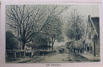 Tekening/ Foto van een Dorpsgezicht uit De Steeg rond 1894. beschikbaar voor biedingen