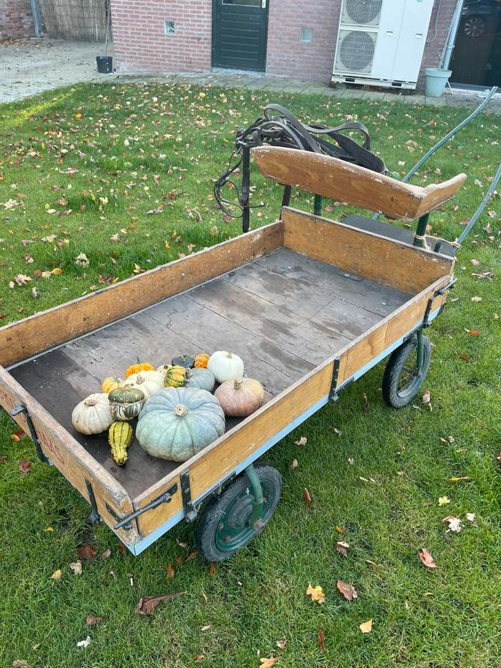 Antieke werkende bokkenkar uit ca 1960, Antiek en Kunst, Antiek | Overige Antiek, Ophalen