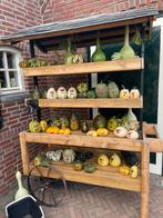 Pompoenen, Ophalen of Verzenden, Zo goed als nieuw