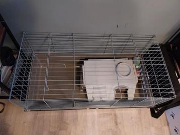 Konijn cavia hok  beschikbaar voor biedingen