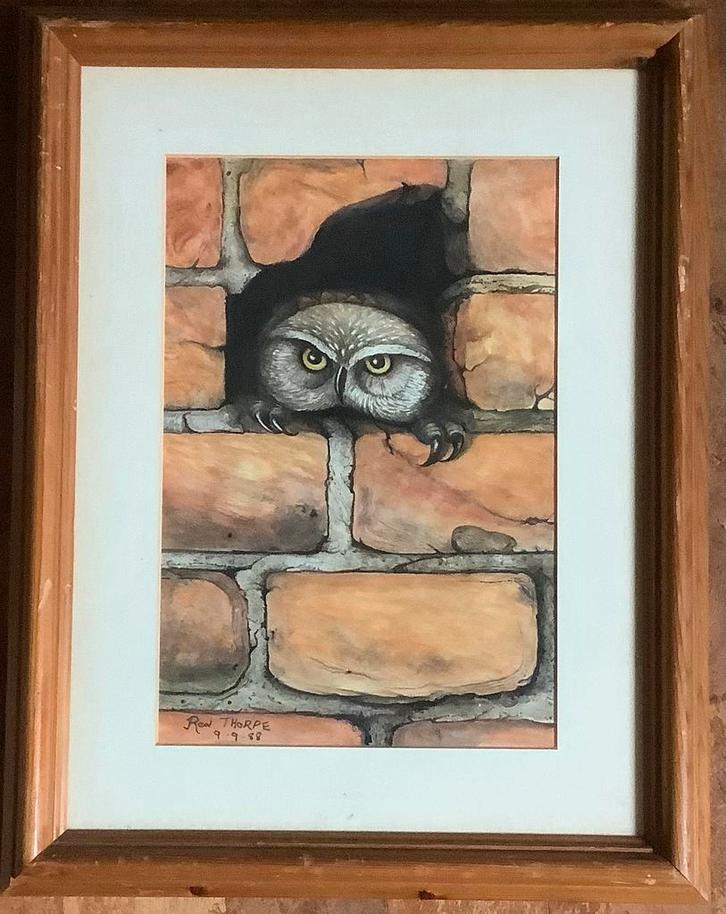 Uil, Steenuil, Little Owl, schilderij, aquarel, vogel, oud., Antiek en Kunst, Kunst | Schilderijen | Klassiek, Ophalen of Verzenden